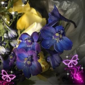 Meet your Posher, Trish